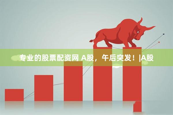 专业的股票配资网 A股，午后突发！|A股
