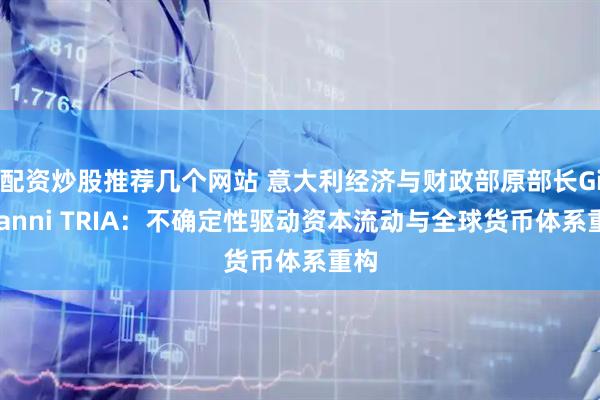 配资炒股推荐几个网站 意大利经济与财政部原部长Giovanni TRIA：不确定性驱动资本流动与全球货币体系重构